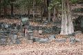 IMG_2004