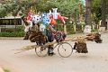 IMG_0277