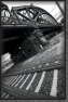 Crossing * 2592 x 3888 * (5.05MB)