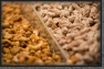 69.Going.nuts * 3888 x 2592 * (1.75MB)