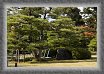 20.Honmaru.Garden * 2206 x 1475 * (1.66MB)