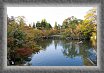 29.Hojo.Pond * This is the photo I had in mind since before going to Japan. Autumn colors, in a japanese garden.
Here we go, finally. Mission accomplished.
 * 3888 x 2592 * (3.05MB)