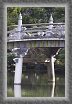 29.Oikeniwa.Keyakibashi.bridge * 1768 x 2700 * (1.05MB)