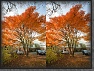 IMG_0180-C * 2000 x 1500 * (2.29MB)