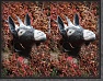 IMG_0436-c * 2000 x 1565 * (1.56MB)