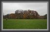 121.Englischer.Garten * 2910 x 1726 * (1.25MB)