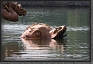 30.Bassin.d'Apollon * 2500 x 1670 * (824KB)