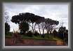 11 * 3888 x 2592 * (2.16MB)