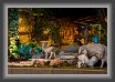 74.Presepe * 3480 x 2339 * (2.19MB)