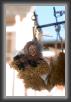 IMG_8037 * 2336 x 3504 * (1.2MB)