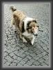 IMG_8043 * 2026 x 2778 * (1.89MB)