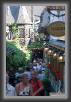 IMG_8044 * 2336 x 3504 * (2.31MB)