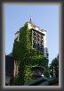 IMG_8045 * 2295 x 3420 * (1.84MB)