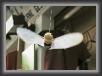IMG_8050 * 3171 x 2265 * (641KB)