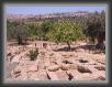 010.Agrigento.Templi.Tombe * 2592 x 1944 * (2.09MB)