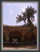 019.Agrigento.Templi.Strada * 1944 x 2592 * (2.19MB)