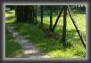 IMG_2987 * 800 x 533 * (182KB)