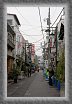 38.Wires * 1799 x 2767 * (1.4MB)
