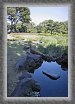 12.Ninomaru.garden * 2336 x 3444 * (2.2MB)