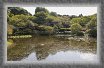 20.Ninomaru.garden * 3504 x 2124 * (2.9MB)