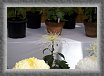 36.Chrysantemum.Blooming * 2114 x 1469 * (431KB)