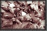 05.Crowd * 2068 x 1379 * (1.91MB)
