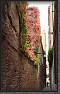 54.Autunno * 2143 x 3438 * (5.53MB)