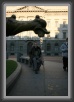 IMG_1646 * 2267 x 3256 * (785KB)