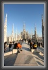 IMG_1629 * 2277 x 3460 * (999KB)