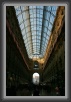 IMG_1638 * 2296 x 3476 * (1.55MB)