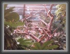 029-Parrocchetti * 1280 x 960 * (236KB)