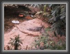 037-CrocodileRock2 * 800 x 600 * (111KB)