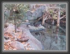 040-Quack * 800 x 600 * (130KB)