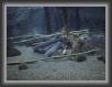 043-Storioni * 800 x 600 * (93KB)