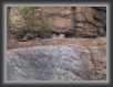 050-lynxFlash2 * 800 x 600 * (81KB)