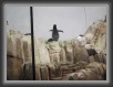 056-pinguino * 800 x 600 * (84KB)