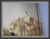057-pinguino2 * 800 x 600 * (68KB)