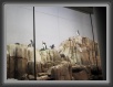 058-pinguini * 800 x 600 * (73KB)