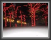 0692-alberi * 800 x 600 * (116KB)