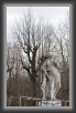 24.Schoenbrunn * 1592 x 2500 * (1.87MB)