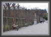 26.Schoenbrunn * 3165 x 2159 * (2.66MB)