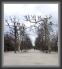 36.Schoenbrunn * 2164 x 2460 * (2.04MB)