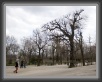 39.Schoenbrunn * 2805 x 2202 * (2.25MB)