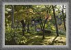 22 * 2916 x 1944 * (2.63MB)