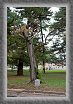 23.The.ancient.one * 1944 x 2916 * (2.63MB)