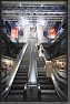 Cite.des.Sciences.et.Industrie.4 * 2912 x 4368 * (7.85MB)