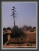 025.Agrigento.Tempio.Giove * 1944 x 2592 * (2.01MB)